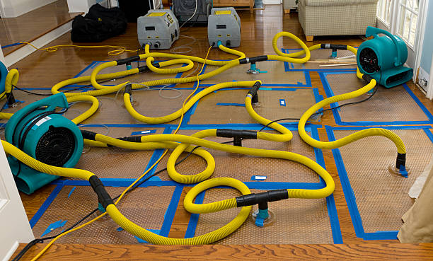 Professional Sewage Cleanup technician working in Paradise, CA